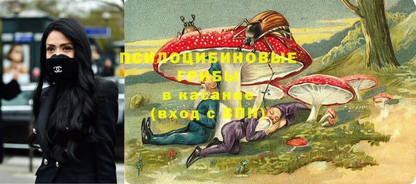 спиды Беломорск