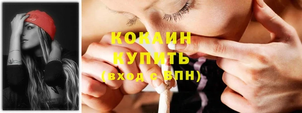 бошки Белокуриха