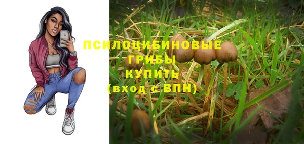 спиды Беломорск