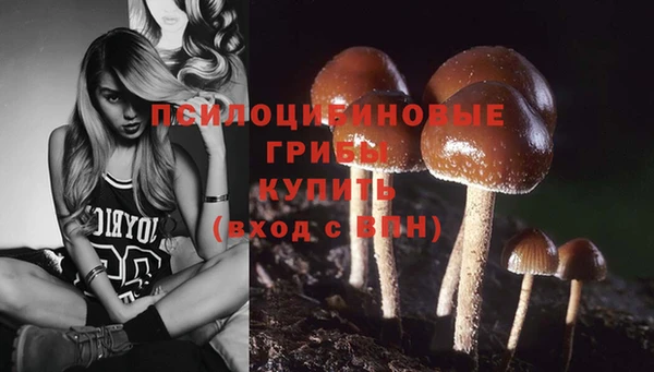 СК Белоозёрский